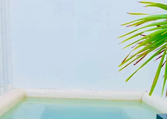 Maravilloso Pent House En 5th Avenida Nuevo En Plataforma Playa del Carmen